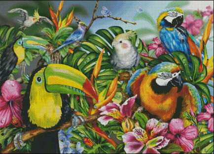 (image for) Birds of a Feather